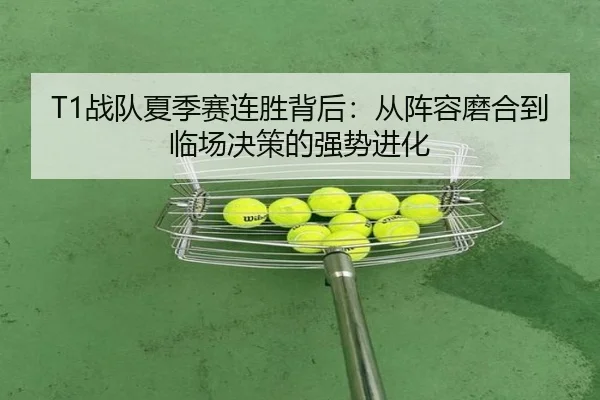 img_1781958897145_29_1_378.jpg